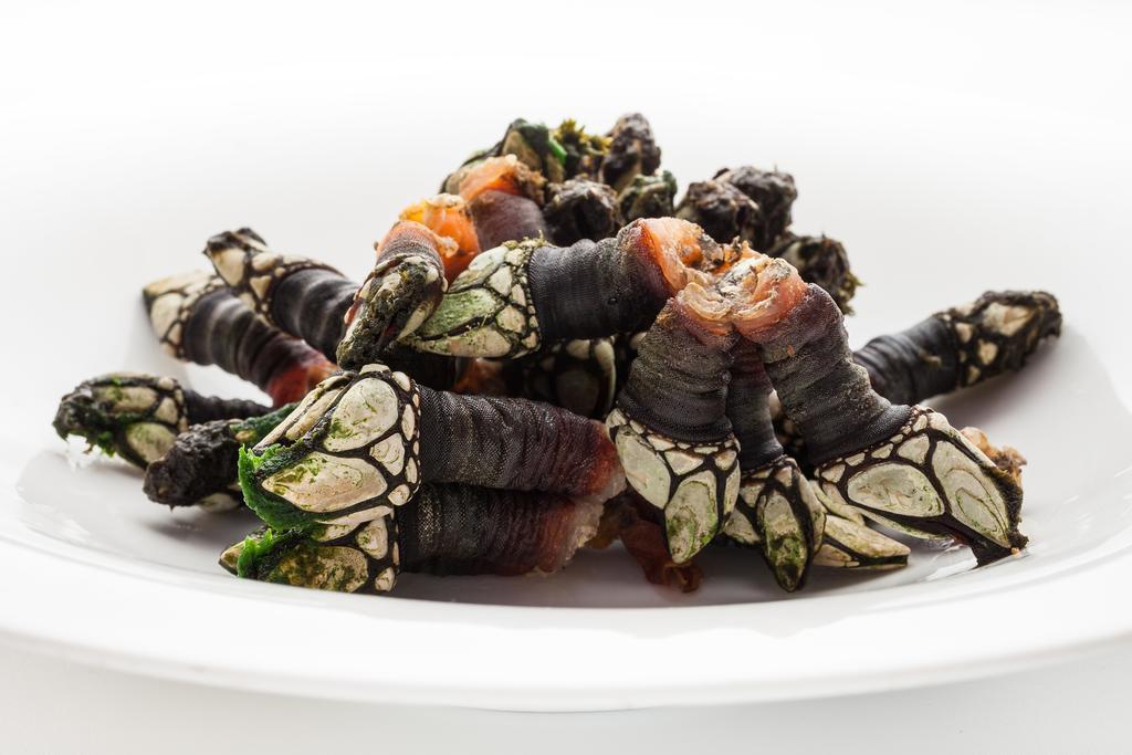 Hotel Restaurante Cabo Vidio Ovinana  ภายนอก รูปภาพ